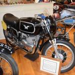 DSC_0076_00033 (October 07, 2023)